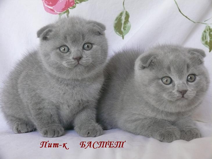 Кожа ребенка стала шелушиться Кожа ребенка стала шелушиться